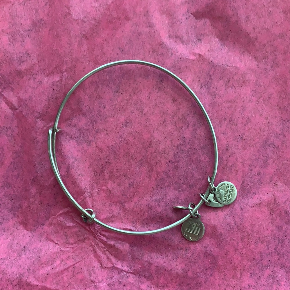 Alex & Ani charm bracelet